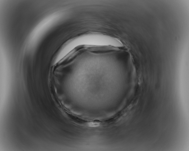X0000083970052200703091811