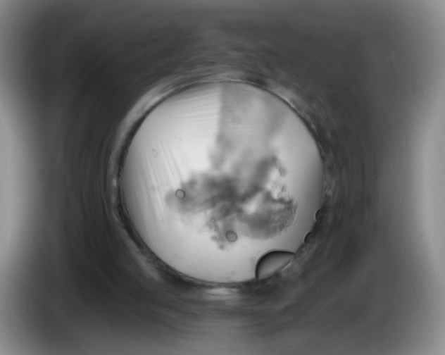 X0000083970053200703091811