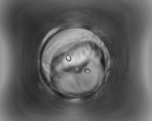 X0000083970054200703091811