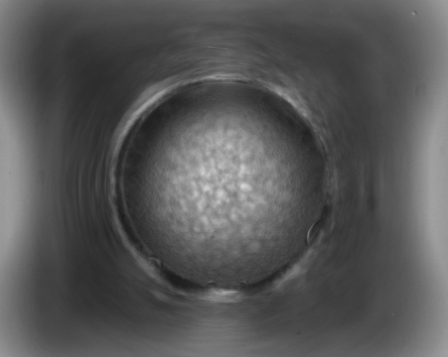 X0000083970055200703091811