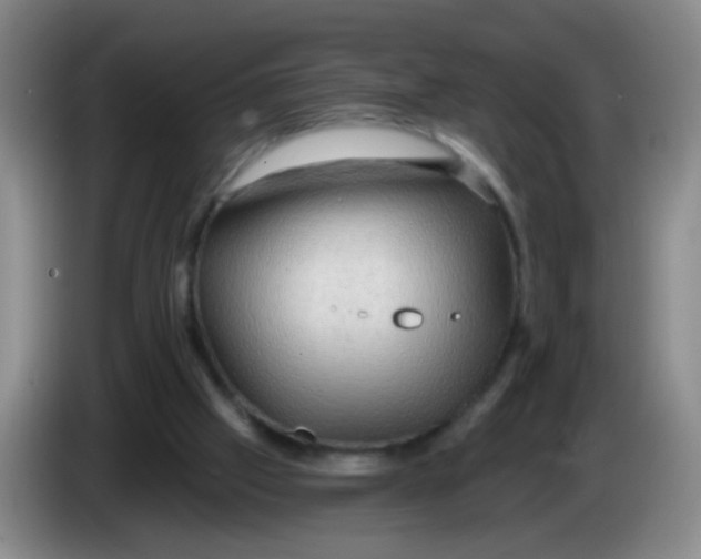 X0000083970057200703091811