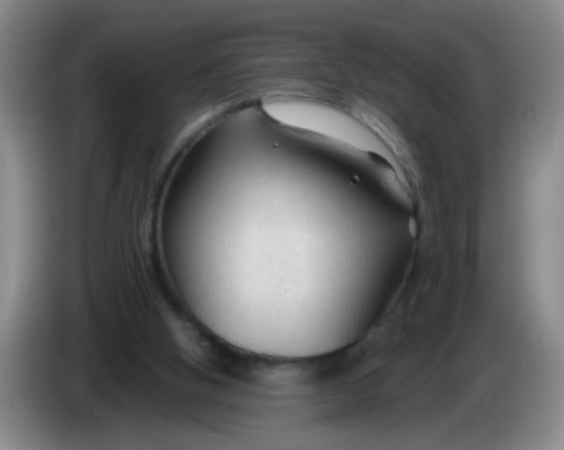 X0000083970058200703091811