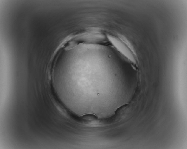 X0000083970059200703091811