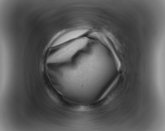 X0000083970060200703091811