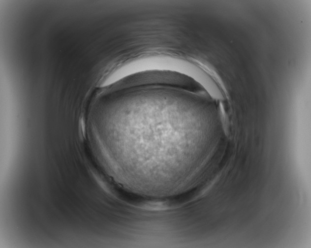 X0000083970061200703091811