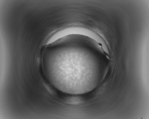 X0000083970063200703091811