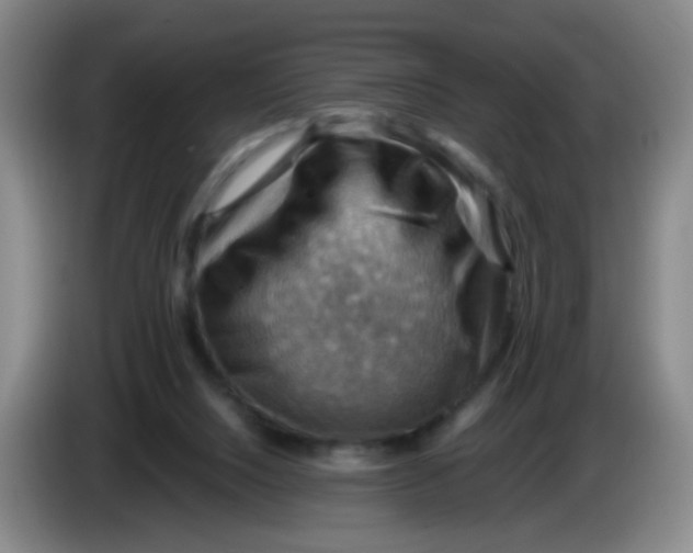 X0000083970064200703091811