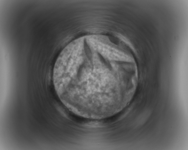 X0000083970065200703091811