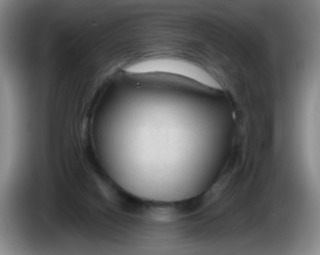 X0000083970066200703091811