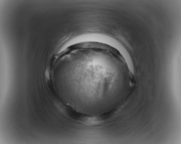 X0000083970068200703091811