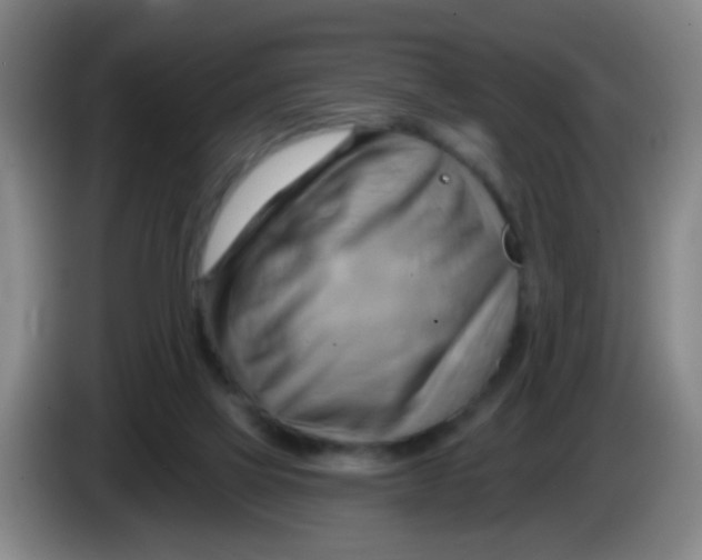X0000083970069200703091811