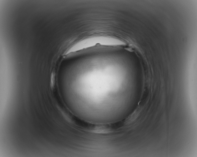 X0000083970070200703091811