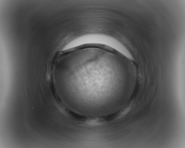 X0000083970072200703091811