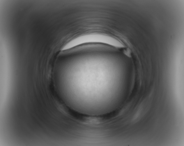 X0000083970073200703091811