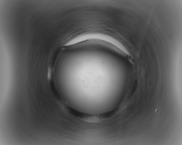 X0000083970075200703091811