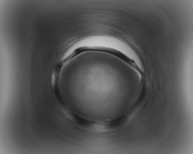 X0000083970076200703091811