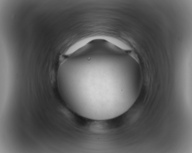 X0000083970077200703091811