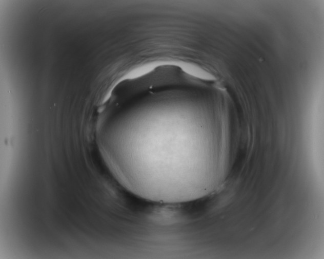 X0000083970078200703091812