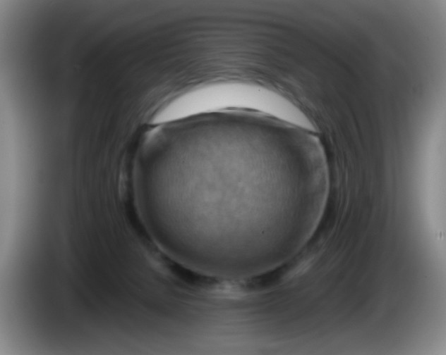 X0000083970080200703091812