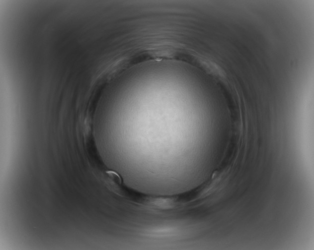 X0000083970081200703091812