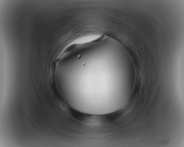 X0000083970082200703091812