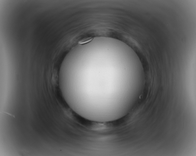 X0000083970083200703091812