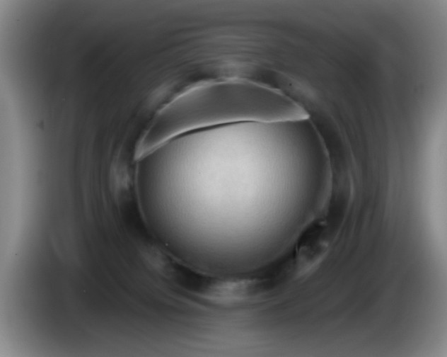 X0000083970084200703091812
