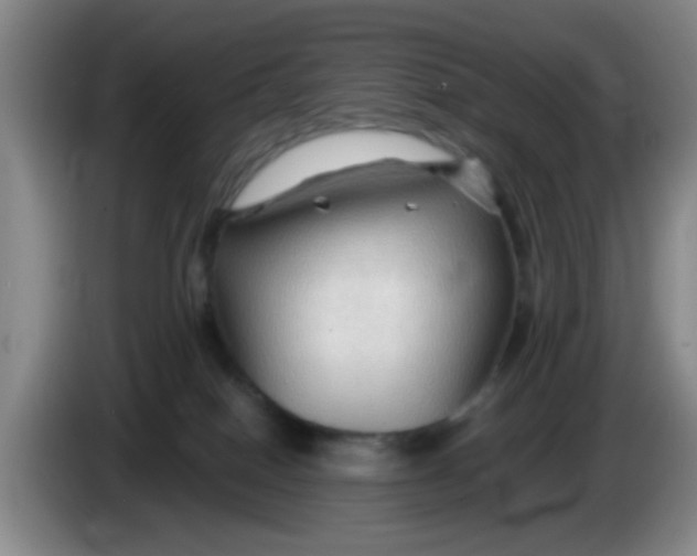 X0000083970086200703091812