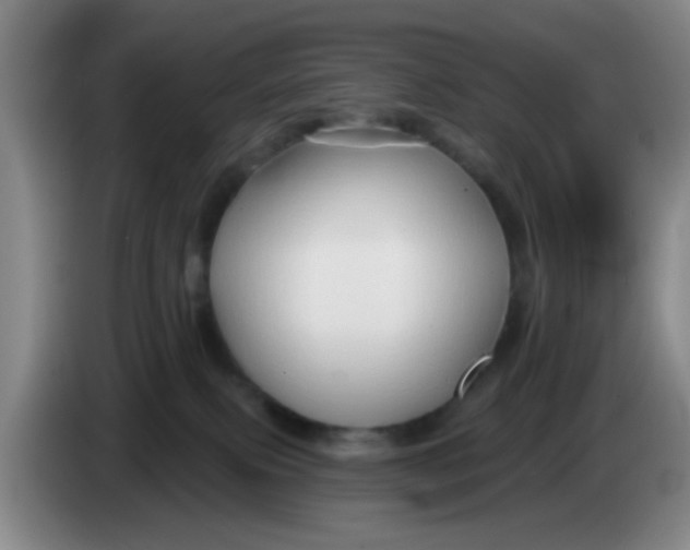 X0000083970087200703091812