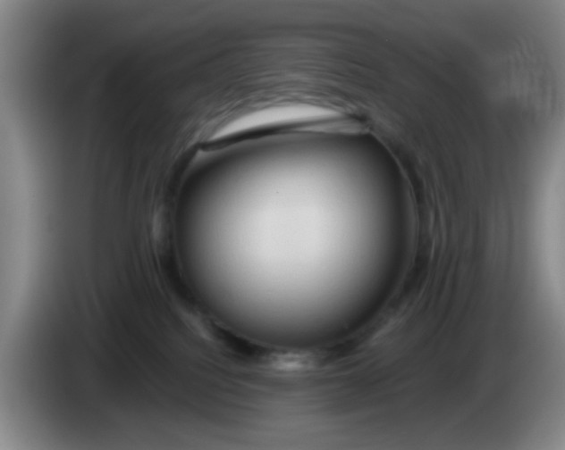 X0000083970088200703091812