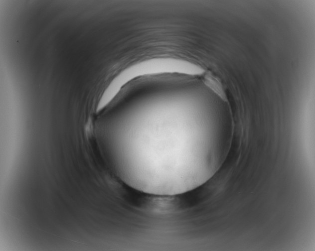 X0000083970089200703091812