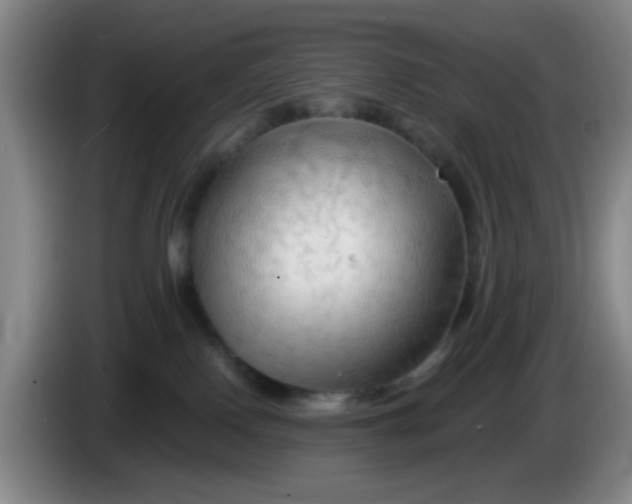 X0000083970090200703091812