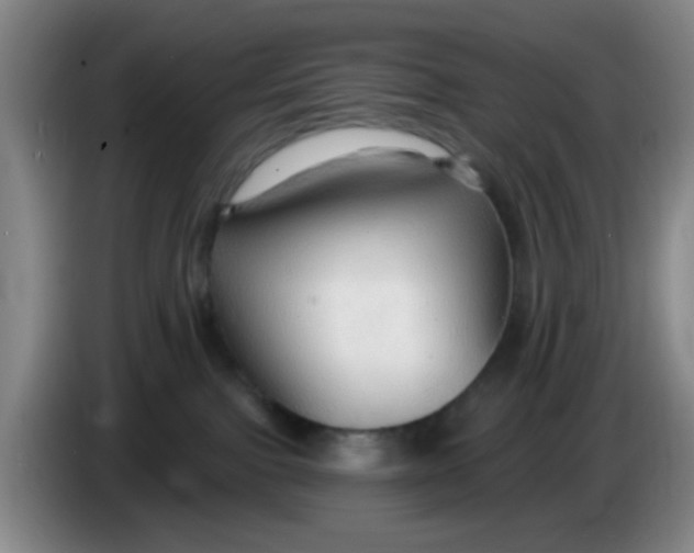 X0000083970091200703091812