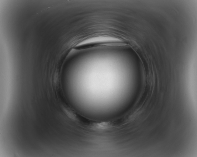 X0000083970092200703091812