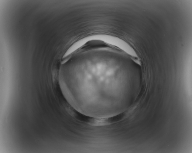 X0000083970093200703091812