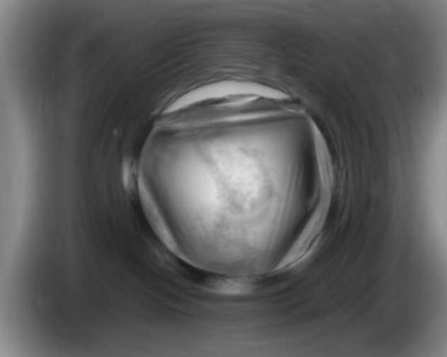 X0000083970094200703091812