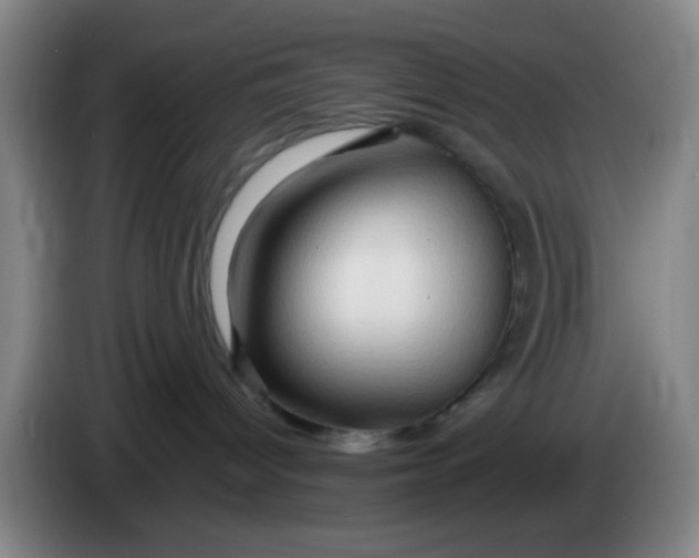 X0000083970096200703091812