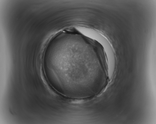 X0000083970097200703091811