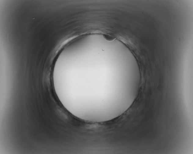 X0000083970098200703091811