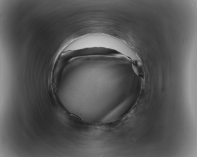 X0000083970099200703091811