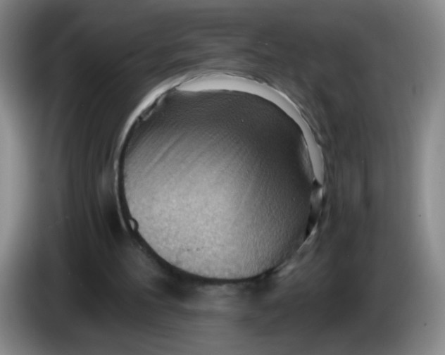 X0000083970100200703091811