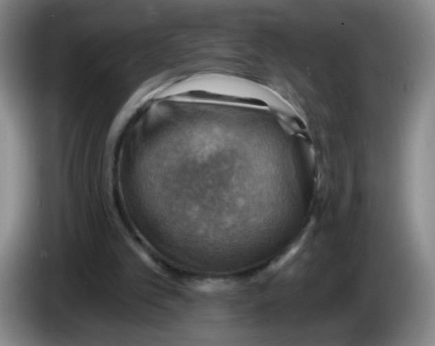 X0000083970101200703091811
