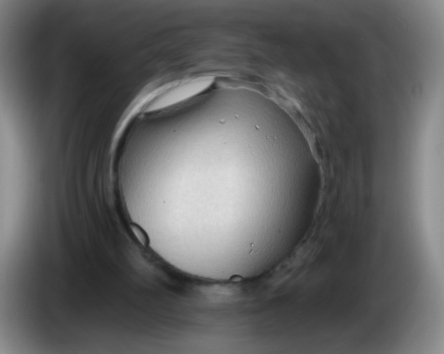 X0000083970102200703091811