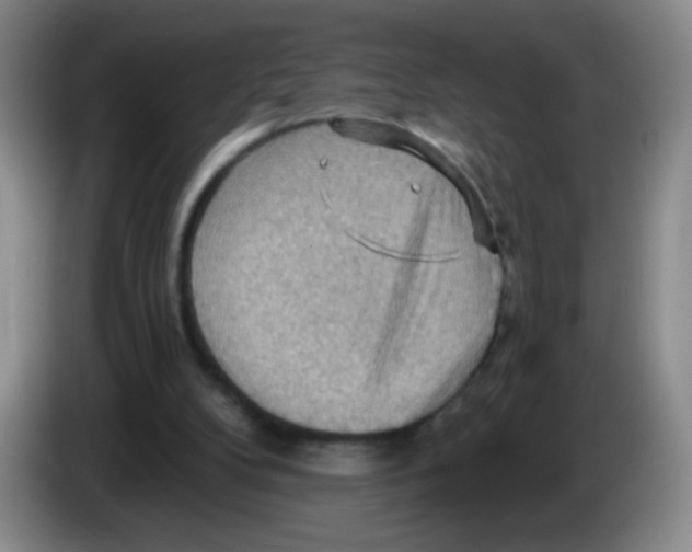 X0000083970104200703091811