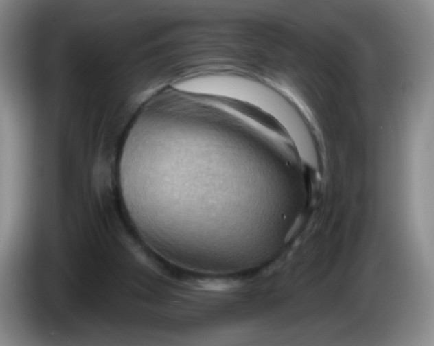 X0000083970105200703091811