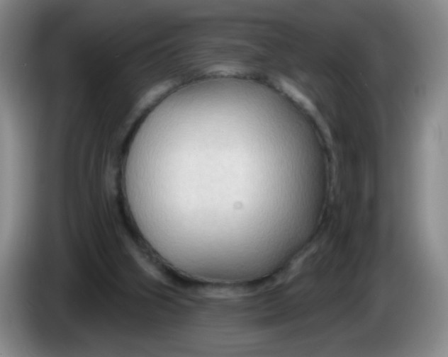 X0000083970106200703091811