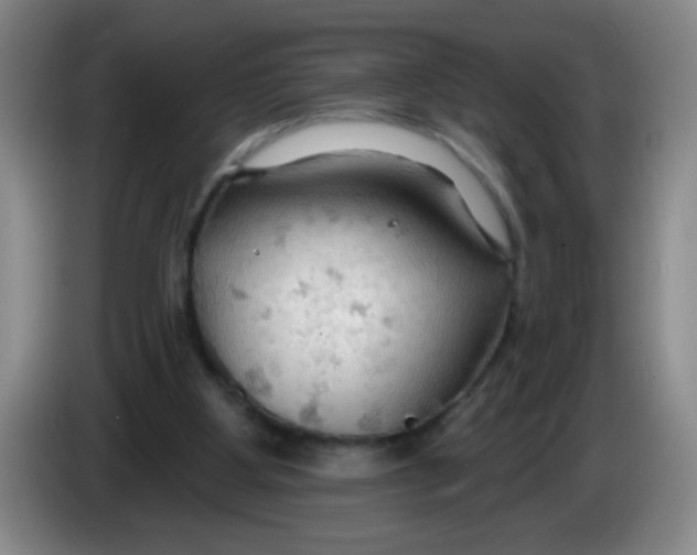 X0000083970107200703091811