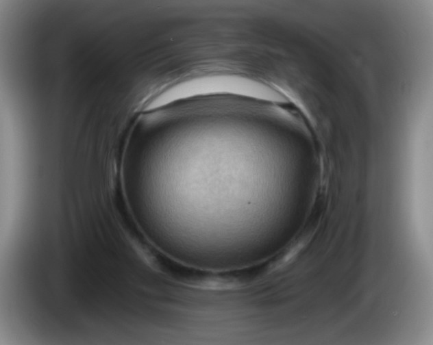 X0000083970109200703091811