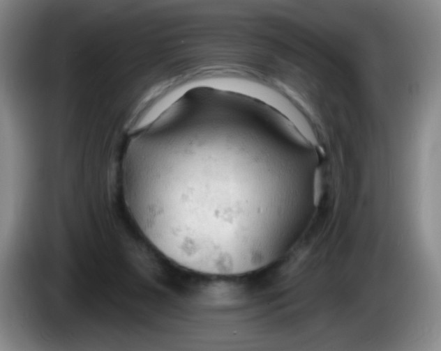 X0000083970111200703091811