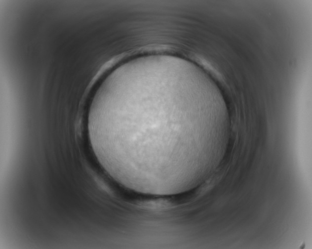 X0000083970112200703091811
